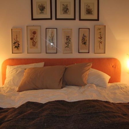 Premarental Wien Rom bilde